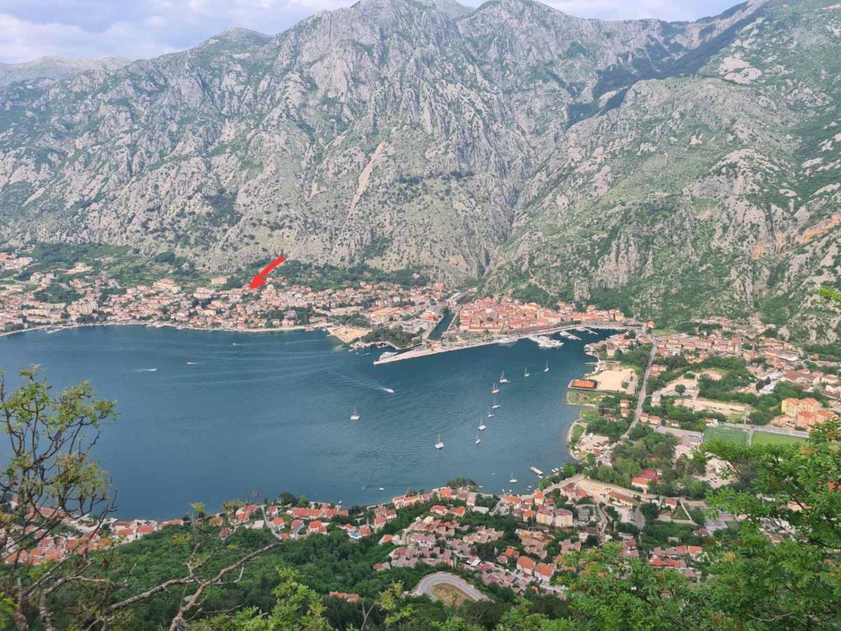 Apartments Lazarevic Kotor Exterior foto