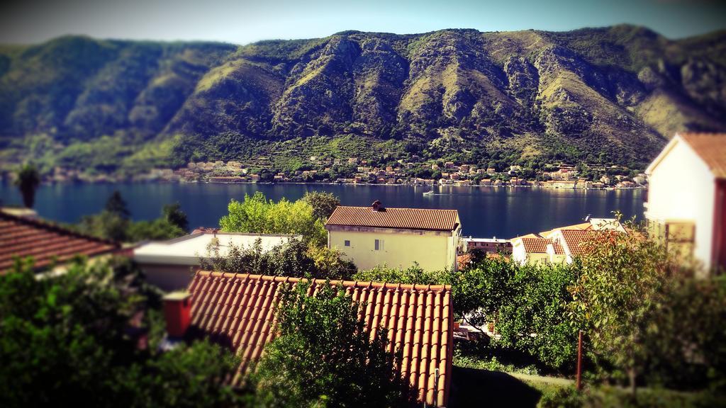 Apartments Lazarevic Kotor Quarto foto